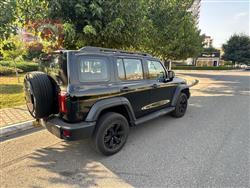 جريت وول 300